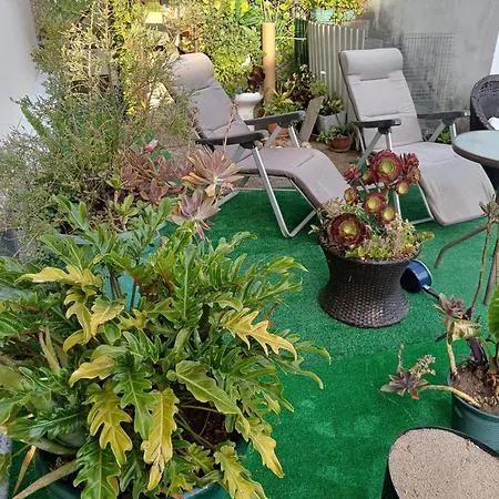 Os Pimentinhas * Ribeira